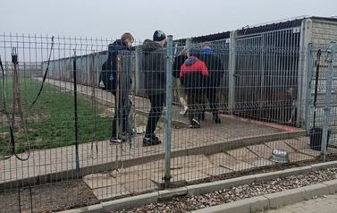 Z wizytą w schronisku dla zwierząt 2022 (29)