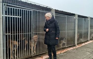 Z wizytą w schronisku dla zwierząt 2022 (27)