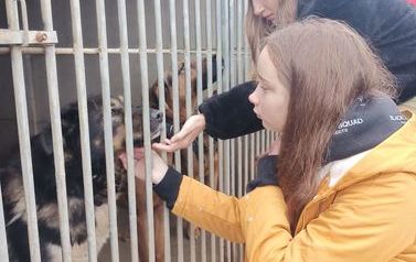 Z wizytą w schronisku dla zwierząt 2022 (17)