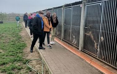 Z wizytą w schronisku dla zwierząt 2022 (14)