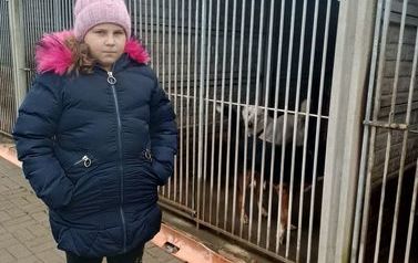 Z wizytą w schronisku dla zwierząt 2022 (13)