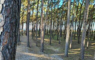 20230509_071953_wynik