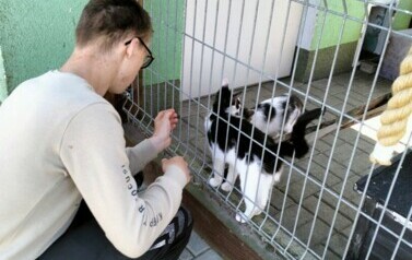 POMOC BEZDOMNYM ZWIERZĘTOM W SCHRONISKU 11
