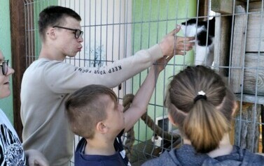 POMOC BEZDOMNYM ZWIERZĘTOM W SCHRONISKU 12