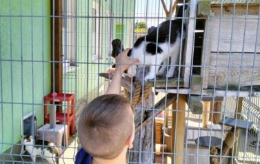 POMOC BEZDOMNYM ZWIERZĘTOM W SCHRONISKU 13