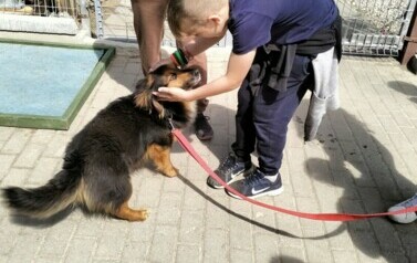POMOC BEZDOMNYM ZWIERZĘTOM W SCHRONISKU 45