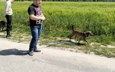 POMOC BEZDOMNYM ZWIERZĘTOM W SCHRONISKU 65