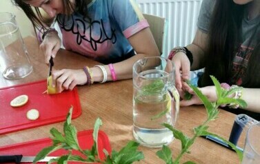 Konkurs i warsztaty z przedmiot&oacute;w ścisłych i języka niemieckiego 13