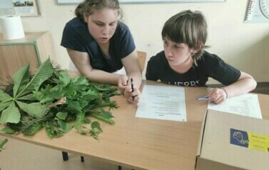 Konkurs i warsztaty z przedmiot&oacute;w ścisłych i języka niemieckiego 29