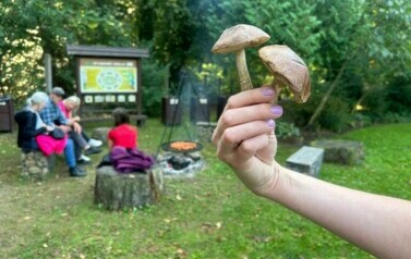 Akcja Sprzątanie Świata 2024 17