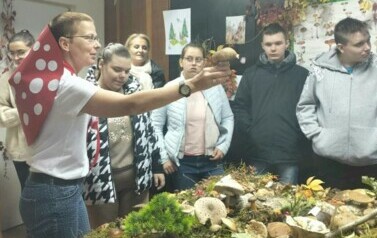 Leśna makieta w Powiatowej Stacji Sanitarno-Epidemiologicznej w Choszcznie 3