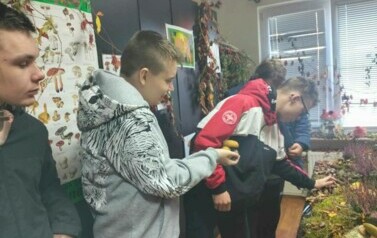 Leśna makieta w Powiatowej Stacji Sanitarno-Epidemiologicznej w Choszcznie 23