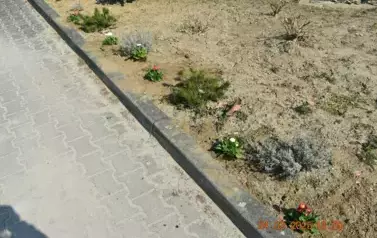 Dzień Wiosny 6