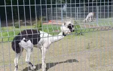 Wycieczka do DELIPARKU 8