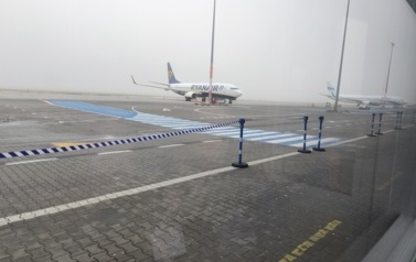 Poznaj Ławicę 19