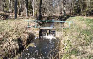 Wycieczka do Nadleśnictwa Drawno &ndash; Leśnictwo Zdan&oacute;w 19