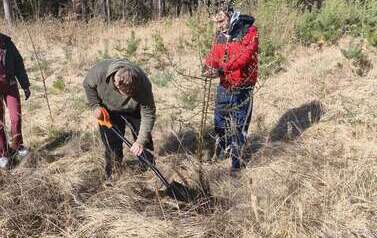 Wycieczka do Nadleśnictwa Drawno &ndash; Leśnictwo Zdan&oacute;w 41