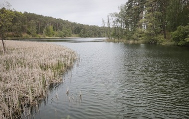 Wycieczka do Drawieńskiego Parku Narodowego 16