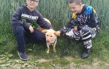 Wycieczka do schroniska w Choszcznie &ndash; lekcja empatii i wolontariatu 5