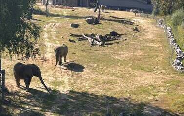 Wycieczka do Zoo w Poznaniu 5