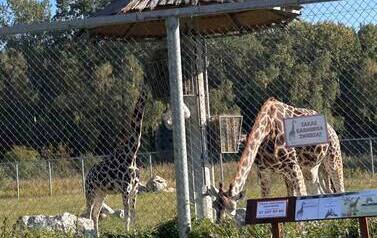 Wycieczka do Zoo w Poznaniu 7