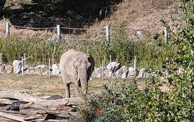 Wycieczka do Zoo w Poznaniu 19