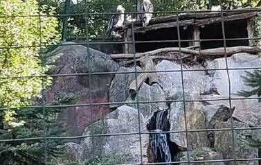 Wycieczka do Zoo w Poznaniu 20