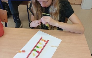 DNA (1)