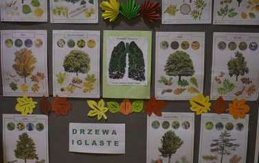 Święto drzewa 2022 (70)