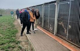 Z wizytą w schronisku dla zwierząt 2022 (14)