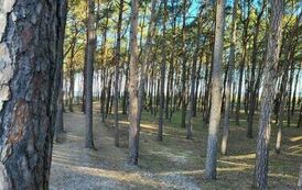 20230509_071953_wynik