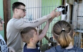 POMOC BEZDOMNYM ZWIERZĘTOM W SCHRONISKU 12