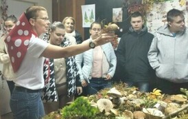 Leśna makieta w Powiatowej Stacji Sanitarno-Epidemiologicznej w Choszcznie 3