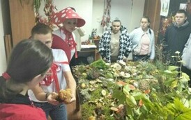 Leśna makieta w Powiatowej Stacji Sanitarno-Epidemiologicznej w Choszcznie 4