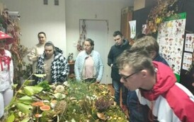 Leśna makieta w Powiatowej Stacji Sanitarno-Epidemiologicznej w Choszcznie 13