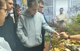 Leśna makieta w Powiatowej Stacji Sanitarno-Epidemiologicznej w Choszcznie 18