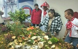 Leśna makieta w Powiatowej Stacji Sanitarno-Epidemiologicznej w Choszcznie 20