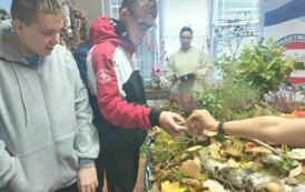 Leśna makieta w Powiatowej Stacji Sanitarno-Epidemiologicznej w Choszcznie 21