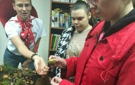 Leśna makieta w Powiatowej Stacji Sanitarno-Epidemiologicznej w Choszcznie 22