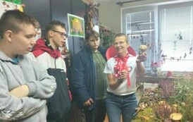 Leśna makieta w Powiatowej Stacji Sanitarno-Epidemiologicznej w Choszcznie 24