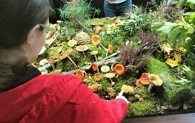 Leśna makieta w Powiatowej Stacji Sanitarno-Epidemiologicznej w Choszcznie 32