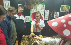 Leśna makieta w Powiatowej Stacji Sanitarno-Epidemiologicznej w Choszcznie 34