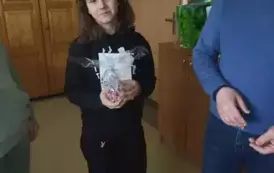 X ŁAMIGŁ&Oacute;WKI MĄDREJ GŁ&Oacute;WKI 12