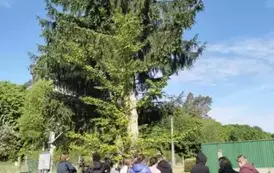 Wycieczka do Nadleśnictwa Sułkowo 6