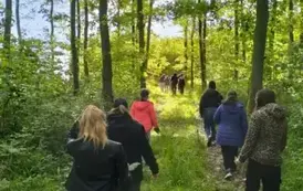 Wycieczka do Nadleśnictwa Sułkowo 16
