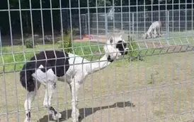 Wycieczka do DELIPARKU 8