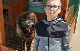 POMOC BEZDOMNYM ZWIERZĘTOM W SCHRONISKU 1