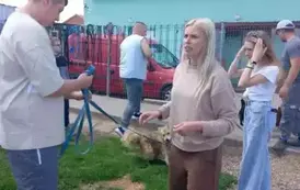 POMOC BEZDOMNYM ZWIERZĘTOM W SCHRONISKU 2