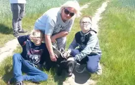 POMOC BEZDOMNYM ZWIERZĘTOM W SCHRONISKU 4