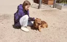 POMOC BEZDOMNYM ZWIERZĘTOM W SCHRONISKU 7